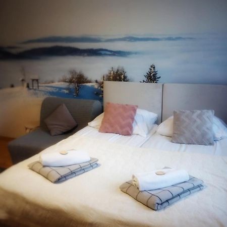 Apartamento Przy Stoku I Potoku Wisła Exterior foto