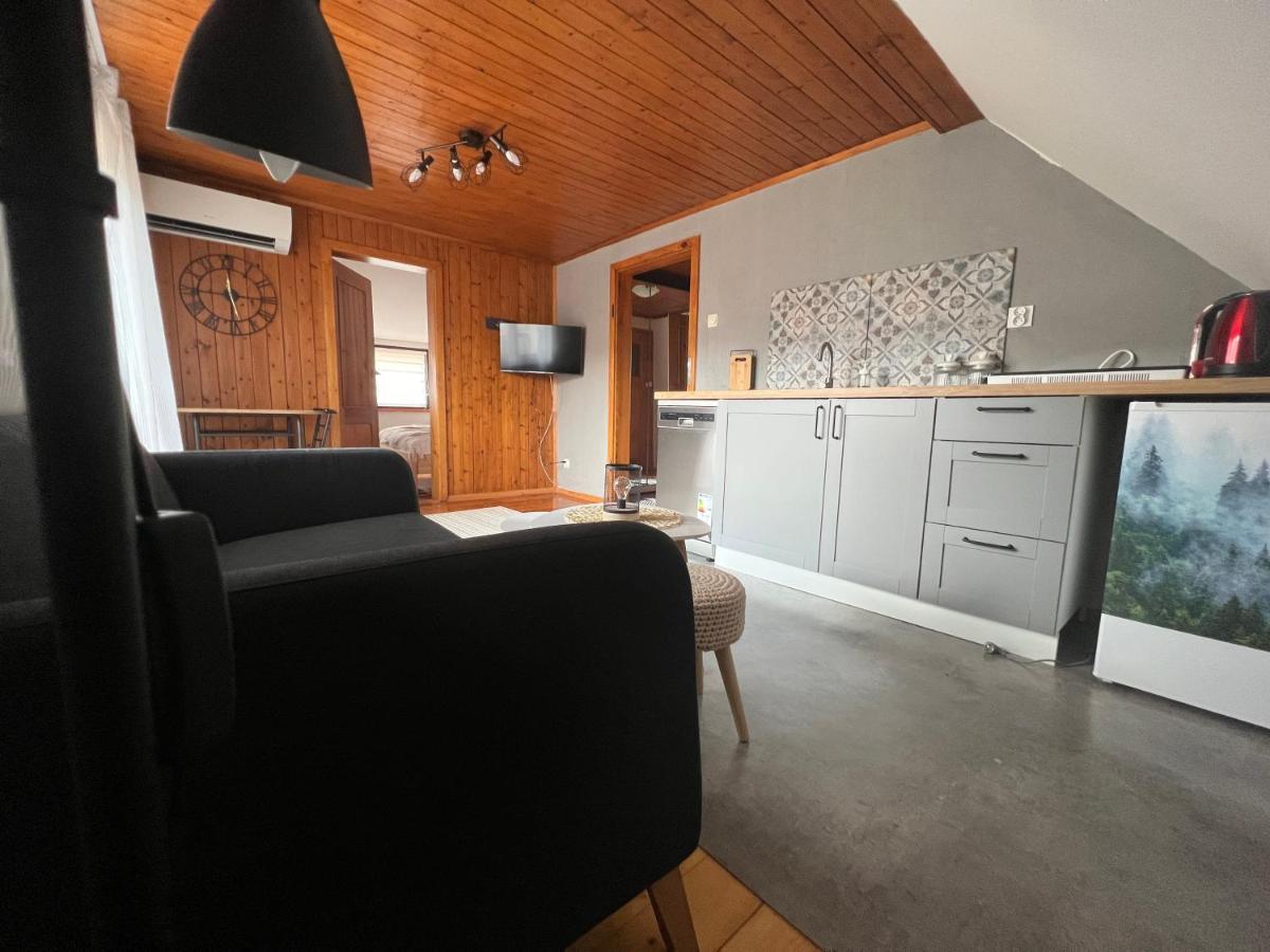 Apartamento Przy Stoku I Potoku Wisła Exterior foto