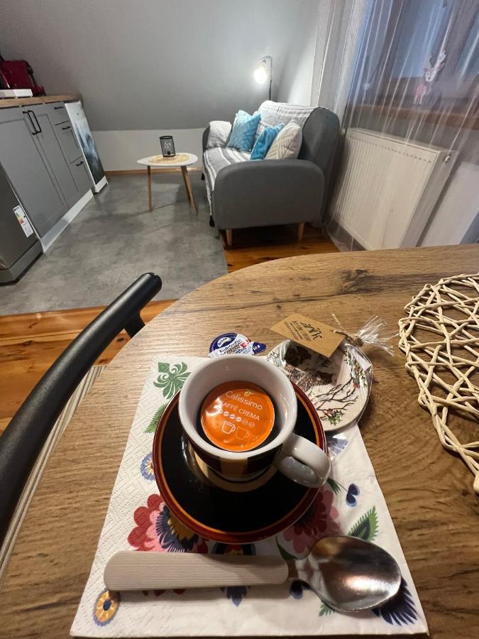 Apartamento Przy Stoku I Potoku Wisła Exterior foto