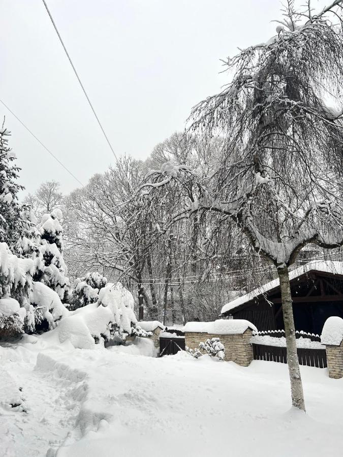 Apartamento Przy Stoku I Potoku Wisła Exterior foto