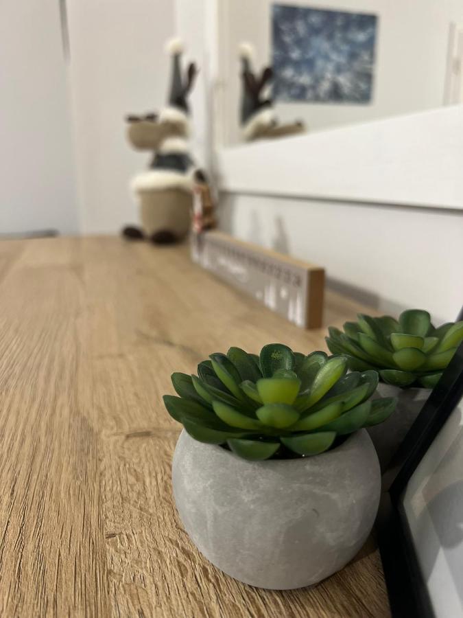 Apartamento Przy Stoku I Potoku Wisła Exterior foto