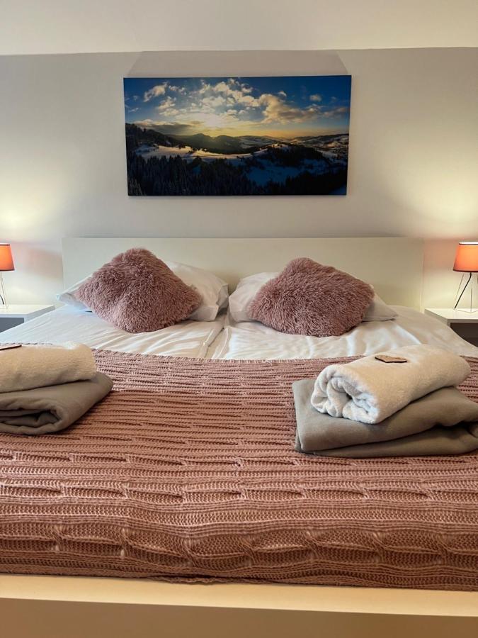 Apartamento Przy Stoku I Potoku Wisła Exterior foto