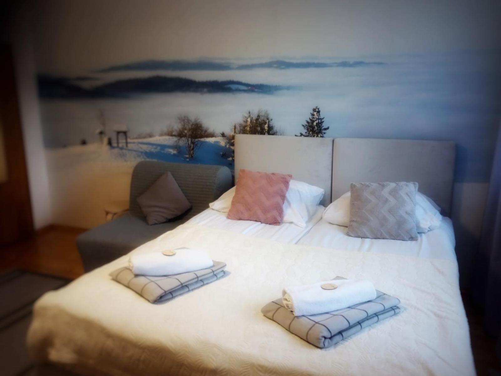 Apartamento Przy Stoku I Potoku Wisła Exterior foto